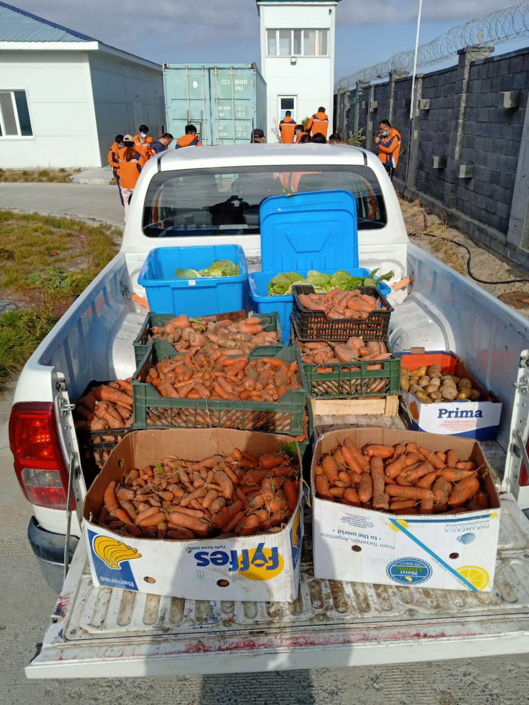 1722396045262670CZUv.jpg 10月大丰收(皮卡).jpg